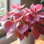 découvrez notre guide complet pour entretenir votre syngonium rose et profitez de conseils pratiques pour préserver une couleur éclatante et une plante en pleine santé.